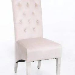 ASR INTERIOR Sofia Dining Chairs Lion Knocker Chrome Legs