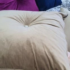 Furniture Imports LTD SOFAS French Velvet Cushions