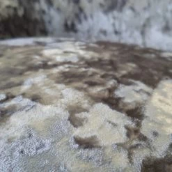 ASR INTERIOR Venice Lustro Premium Crushed Velvet Silver Dining Chair