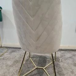 Furniture Imports LTD Yildiz Dining Chair Cream Velvet & Gold Legs REDUCED SALE ITEMS