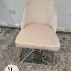 Furniture Imports LTD Yildiz Dining Chair Cream Velvet & Gold Legs REDUCED SALE ITEMS